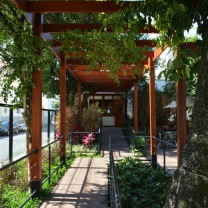 Pergolado de acesso.