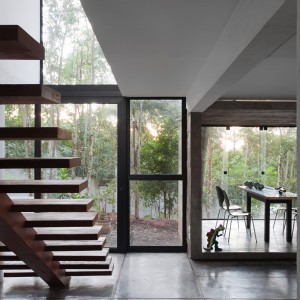 Vista da bilioteca para o bosque.