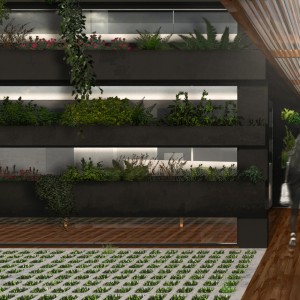 Opção 1: Vista do acesso ao consultório. (Ar:Co – Arquitetura Cooperativa).