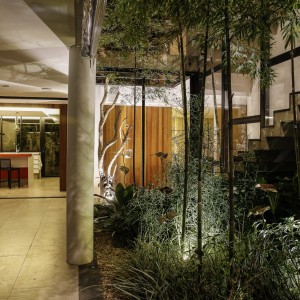 Vista do Jardim interno para a cozinha. (Ar:Co – Arquitetura Cooperativa).